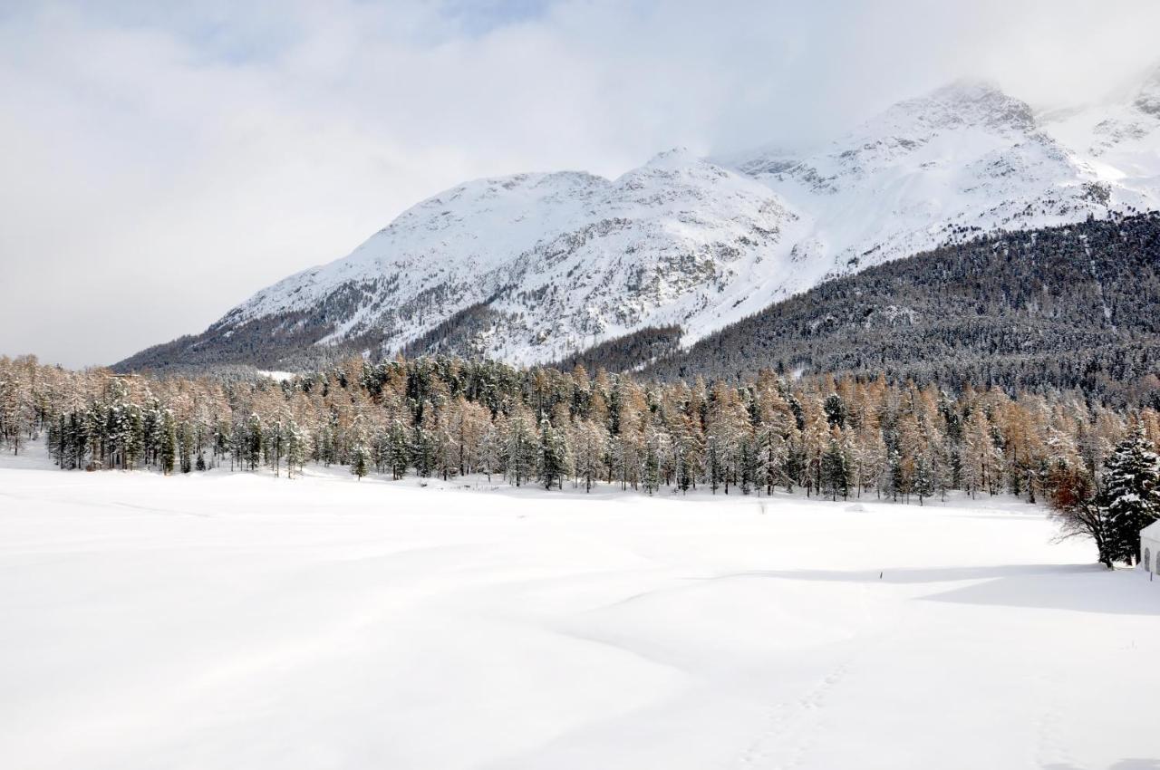 Cosy Apartment Facing Piz Rosatsch เซนต์โมริตส์ ภายนอก รูปภาพ